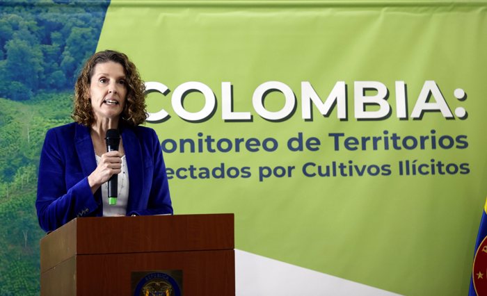 A diretora regional do UNODC para a região andina e Cone Sul, Candice Welsch, fala durante entrevista coletiva, hoje em Bogotá (Colômbia). (EFE/Mauricio Dueñas Castañeda)