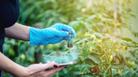 Alimentos serão geneticamente modificados mais do que você imagina