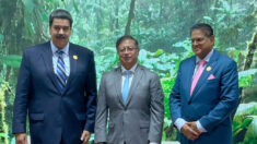 Venezuela e Colômbia estabelecem roteiro para “revitalizar” Amazônia