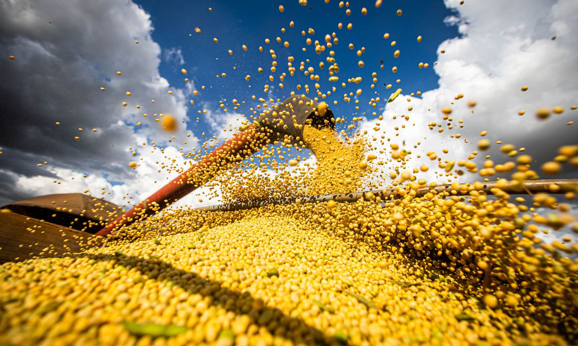 Após quatro anos de alta, faturamento de exportação do agro registra queda de 1%