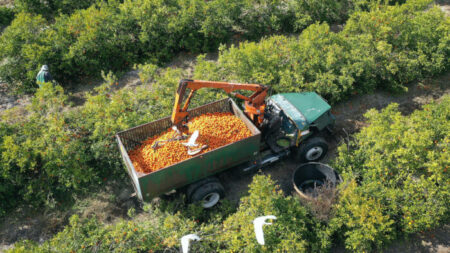 Seca e queimadas ameaçam produção agrícola e elevam preços de alimentos