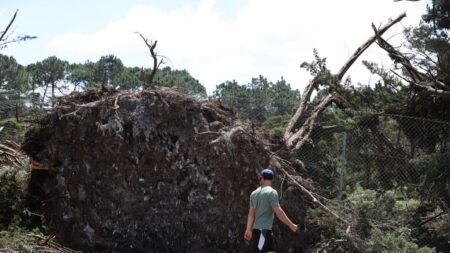 Após passagem de ciclone, Nova Zelândia registra terremoto de 5,7 graus