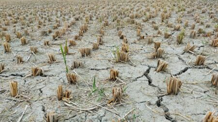 Quase 60% do território argentino sofre com seca, segundo relatório regional