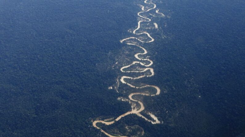 Vista aérea da Amazônia (© Fernando Frazão/Agência Brasil)