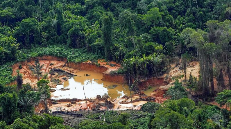 GARIMPO: ação coordenada do governo federal no território Yanomami encontra comunidade de povo indígena isolado (Moxihatëtë), sem nenhum contato com a sociedade. Eles vivem há apenas 15 km de um ponto de garimpo (Foto: Leo Otero/MPI)