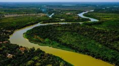 Projeto poderá ampliar proteção ao Pantanal