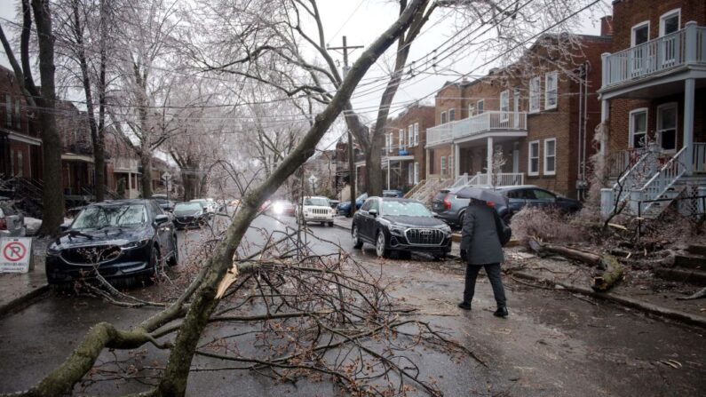 Uma pessoa caminha ao redor de galhos de árvores e linhas de energia caídos depois que a chuva congelante atingiu partes de Quebec e Ontário em Montreal, Canadá, em 5 de abril de 2023.  (Foto de ANDREJ IVANOV/AFP via Getty Images)