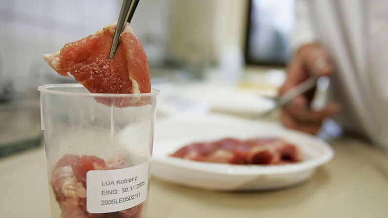 Uma amostra de carne é separada em um laboratório do escritório de investigação do estado alemão da Renânia-Palatinado em 30 de novembro de 2005 em Koblenz, Alemanha (Foto de Ralph Orlowski/Getty Images)