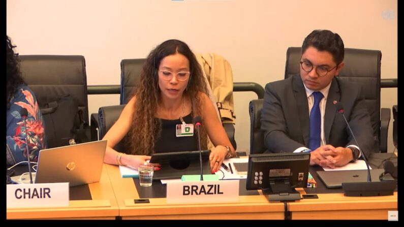A secretária-executiva do Ministério dos Direitos Humanos e da Cidadania (MDHC), Rita Oliveira (Imagens: Youtube / ONU-TV)