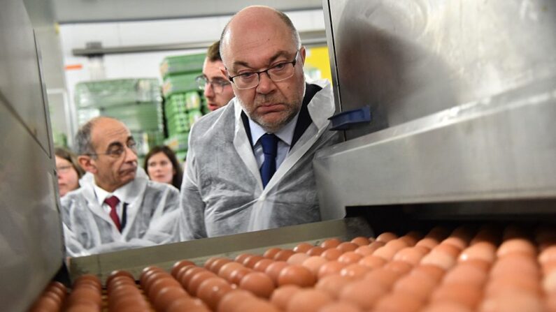 O ministro da Agricultura da França, Stephane Travert, olha para dentro de uma classificadora de ovos enquanto visita a fábrica de Loeuf, um centro de embalagem de ovos e subsidiária da Fermiers de Loue, em La Bazoge, noroeste da França, em 30 de março de 2018 (Foto de JEAN-FRANCOIS MONIER/AFP via Getty Images)