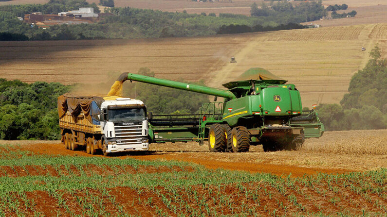 Agropecuária cresce 21,6% no primeiro trimestre, maior alta desde 1996, ano inicial da atual série de contas nacionais trimestrais (Foto: Jaelson Lucas/AEN-PR)