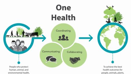 One Health, medicina holística e o envenenamento das mentes para destruição da liberdade | Opinião