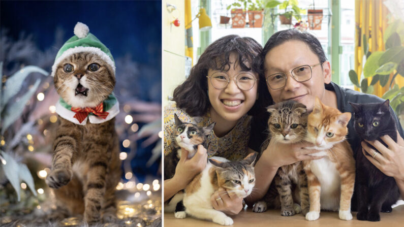 Wilson Ng (à direita) era um fotojornalista sênior do agora fechado Apple Daily. Em 2021 tornou-se “catógrafo”, fotografando gatos domésticos e seus donos em suas casas. (Cortesia de Wilson Ng)
