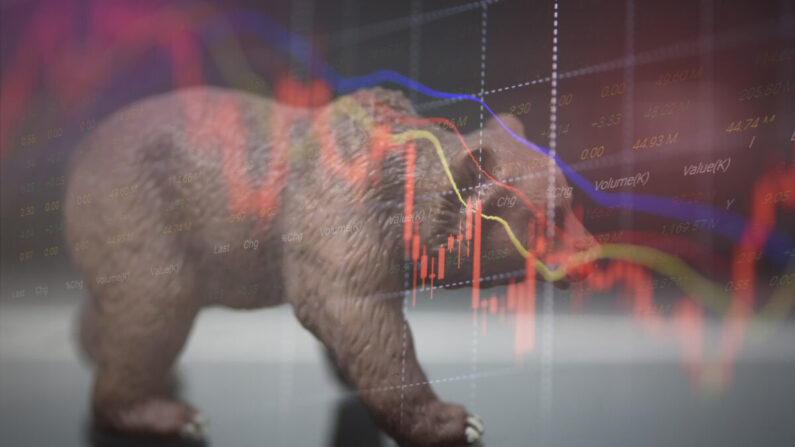 Bear Market (Dreamstime/TNS) 