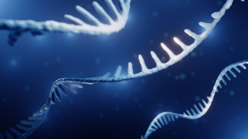 RNA (ART-ur/Shutterstock)