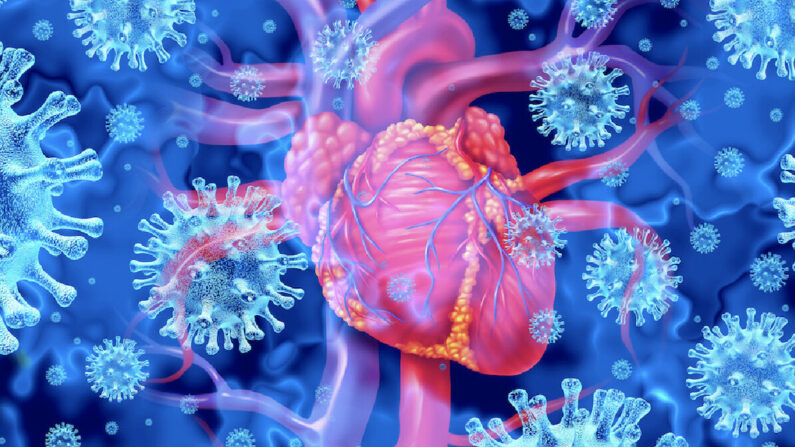 Imagem ilustrativa do coração com o vírus da COVID (Lightspring/Shutterstock)