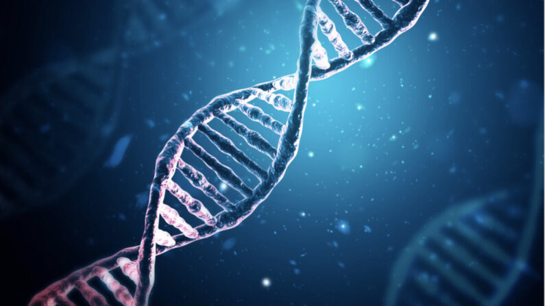 Código genético (Explode/Shutterstock)