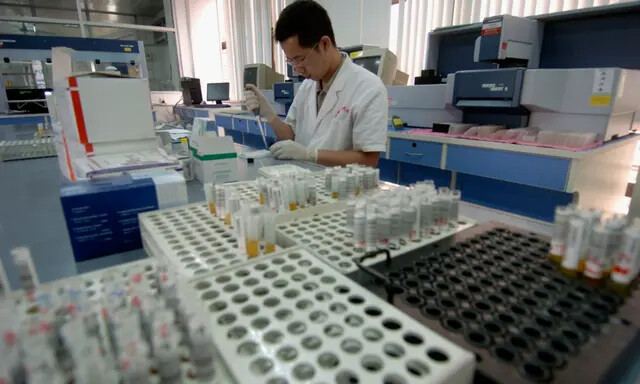Um funcionário da inspeção testa amostras de sangue de doadores voluntários no Centro de Sangue de Guangzhou, em Guangzhou, província de Guangdong, China, em 13 de junho de 2005 (China Photos/Getty Images)
