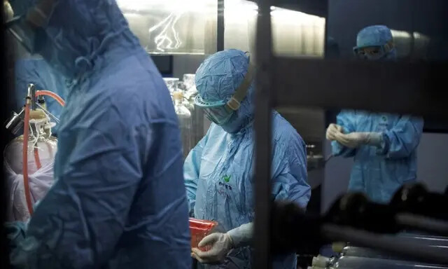 Pesquisadores em trajes de proteção trabalham em um laboratório biofarmacêutico na cidade de Shenyang, província de Liaoning, China, em 9 de junho de 2020. (Noel Celis/AFP via Getty Images)
