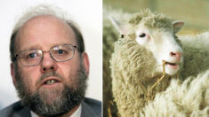 Ian Wilmut, cientista que clonou a ovelha Dolly, morre aos 79 anos