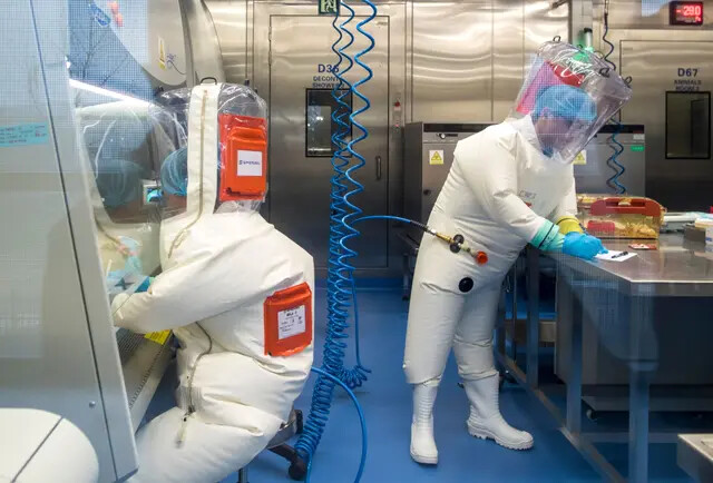 Trabalhadores próximos a uma gaiola com ratos dentro do laboratório P4 em Wuhan, capital da província chinesa de Hubei, em 23 de fevereiro de 2017 (Johannes Eisele/AFP via Getty Images)
