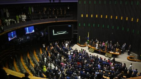 Oposição protocola no Senado pedido de plebiscito sobre descriminalização do aborto