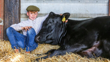 Menino de 11 anos com autismo aluga sua própria terra, cria ovelhas e aprendeu sozinho a fiar lã