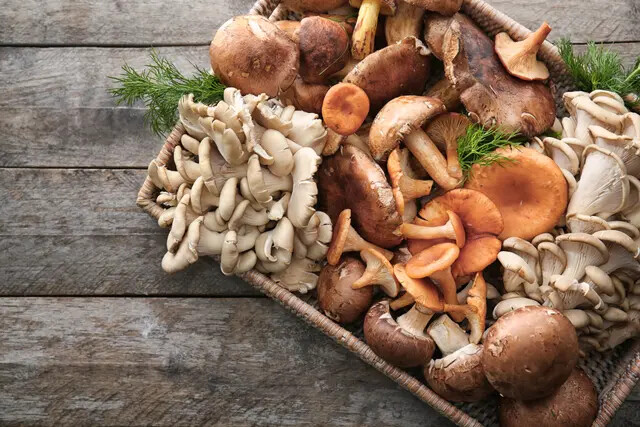 Os cogumelos possuem muitas propriedades excelentes para a saúde e podem ajudar a aliviar os sintomas do Long COVID. (Estúdio África/Shutterstock)