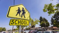 Distrito escolar considera classificar o ensino de sexo fora da educação sexual como “inadequado”