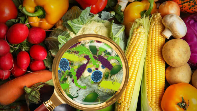 Os microrganismos encontrados em frutas e vegetais acabam ajudando a moldar nosso microbioma intestinal, segundo um novo estudo (Shutterstock)