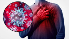 COVID-19 infecta artérias cardíacas: 6 tipos de alimentos para proteger seu coração