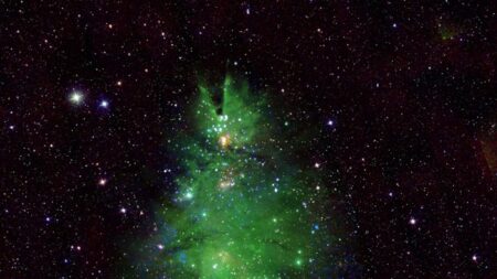 NASA capta grupo de estrelas com formato de árvore de Natal