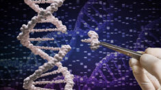 Primeira terapia de edição de genes CRISPR é aprovada nos EUA