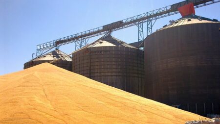 Senado avalia criação de programa nacional de armazenagem de grãos