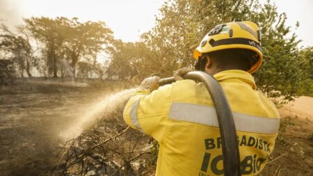 Corpo de Bombeiros retoma trabalhos para conter incêndio na Floresta Nacional de Brasília