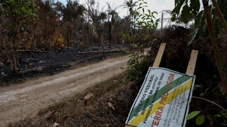 Vista de uma área desmatada e queimada da floresta amazônica em Autazes, Amazonas, Brasil, em 22 de setembro de 2023 (Foto de MICHAEL DANTAS/AFP via Getty Images)