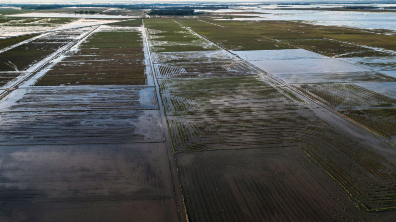Vista aérea de plantações de arroz inundadas em Eldorado do Sul, estado do Rio Grande do Sul, Brasil, tirada em 9 de maio de 2024 (Foto de NELSON ALMEIDA/AFP via Getty Images)