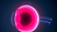 Vitaminas B podem reduzir o risco de glaucoma, diz estudo