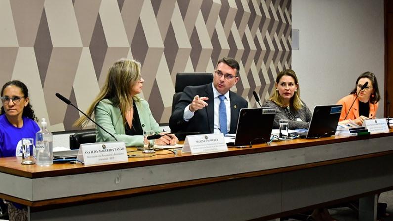 Relator, Flávio Bolsonaro afirmou que proposta melhora gestão das áreas e contribui para a geração de empregos (Waldemir Barreto/Agência Senado)