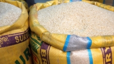 Governo anuncia leilão de arroz importado sob protestos do setor agropecuário