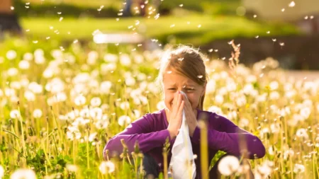Cura natural: 4 tratamentos naturais para o alívio de alergias