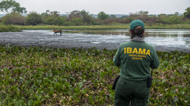 Ibama 32 Anos em Outubro de 2020 (Foto: Ibamagov via commons)