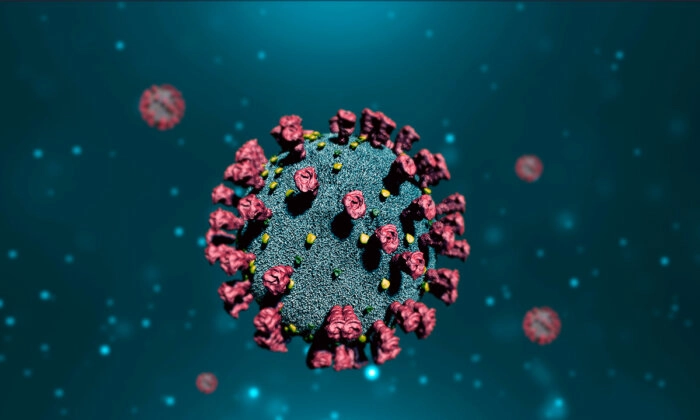 Representação do vírus que causa a COVID-19 (Kitreel/Shutterstock)
