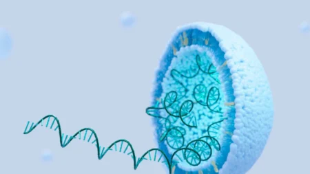 O mRNA da vacina contra a COVID pode “se espalhar sistemicamente” para a placenta e os bebês de mulheres vacinadas durante a gravidez