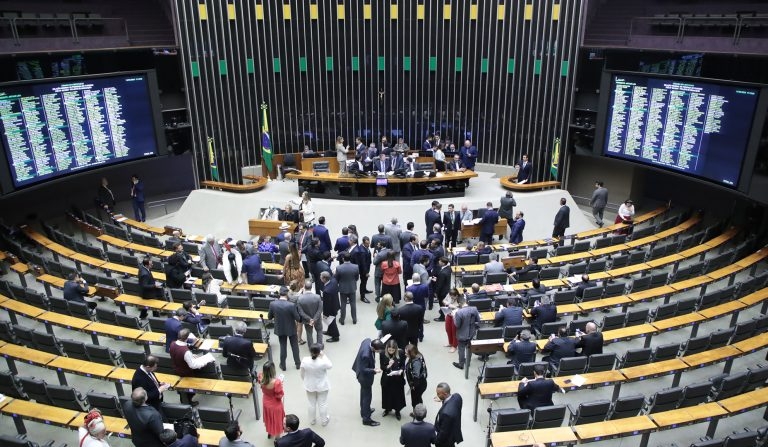 Sessão do Plenário (Mário Agra/Câmara dos Deputados)