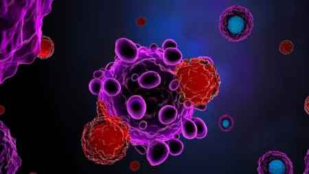 Terapia com células CAR-T raramente é associada a outros tipos de câncer, diz estudo de medicina de Stanford