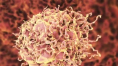 Análise de genomas de câncer direciona para terapias mais eficazes