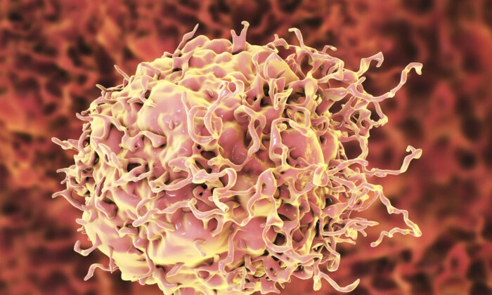 Célula cancerígena (Kateryna Kon/Shutterstock)
