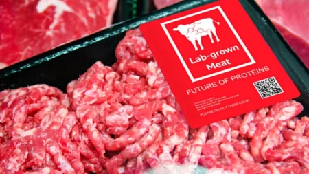 Pentágono financia iniciativa de carne cultivada em laboratório