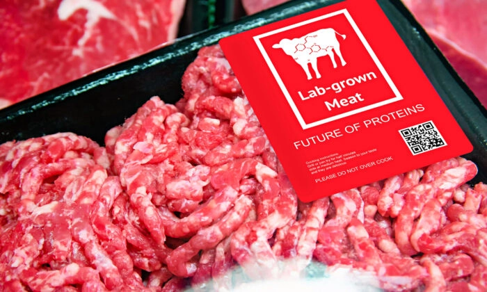 Pentágono financia iniciativa de carne cultivada em laboratório